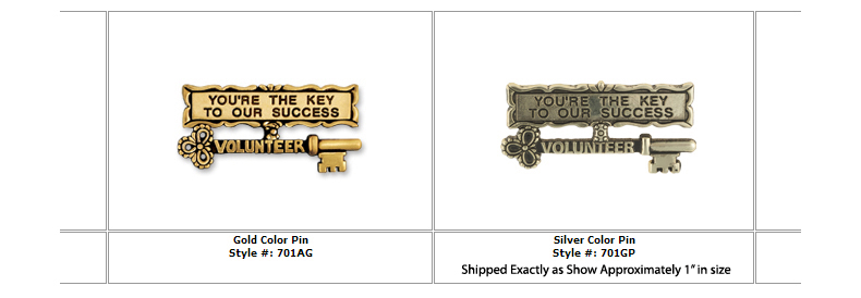 "You're the Key To Success" Gold Lapel Pins